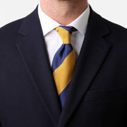Cravatta Regimental blu e giallo