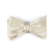 Papillon Panna