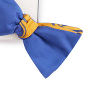 Papillon Da Annodare Double Face in Seta Blu con Design Illogico Giallo
