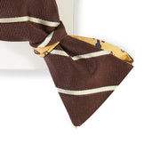 Papillon Marrone e Giallo