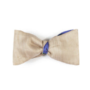 Papillon Beige e Blu