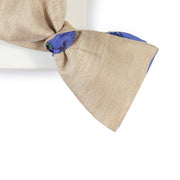 Papillon Beige e Blu