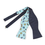 Papillon Blu e Celeste