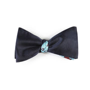 Papillon Blu e Celeste