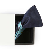 Papillon Blu e Celeste