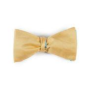 Papillon Giallo e Celeste