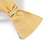 Papillon Giallo e Celeste