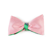 Papillon Rosa e Verde