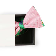 Papillon Rosa e Verde