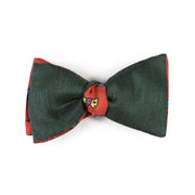 Papillon verde rosso
