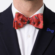 Papillon verde rosso