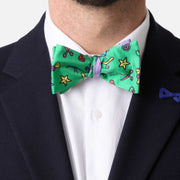 Papillon Lilla e Verde