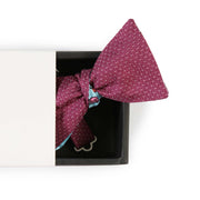 Papillon Viola e Celeste