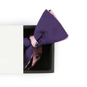 Papillon Viola e Rosa