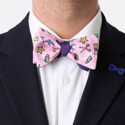 Papillon Viola e Rosa