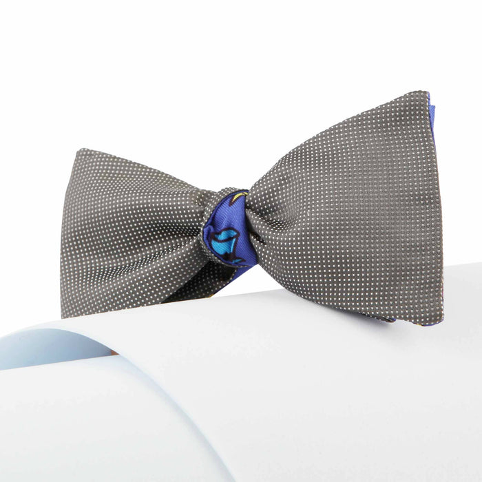 Papillon Blu e Grigio