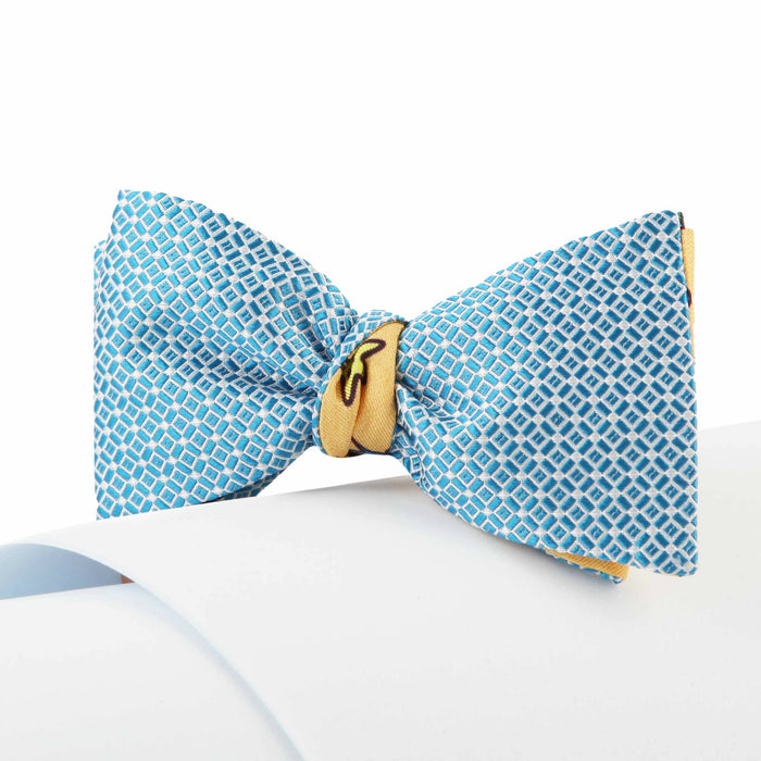 Papillon Celeste e Giallo