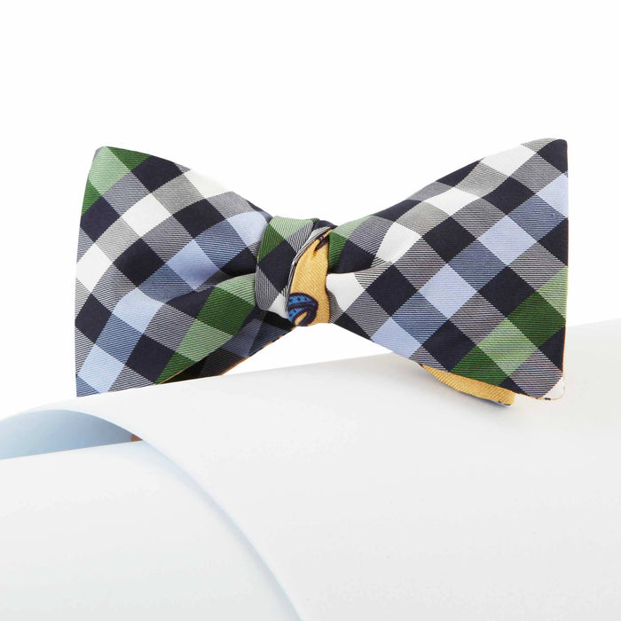Papillon Quadri