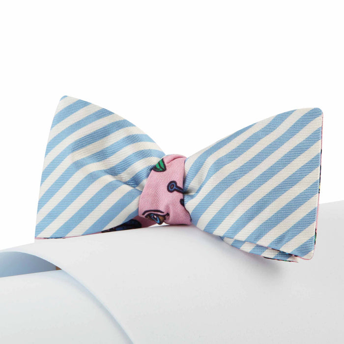 Papillon Mille righe