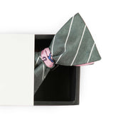 Papillon Grigio e Rosa