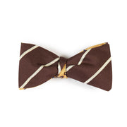 Papillon Marrone e Giallo