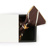 Papillon Marrone e Giallo