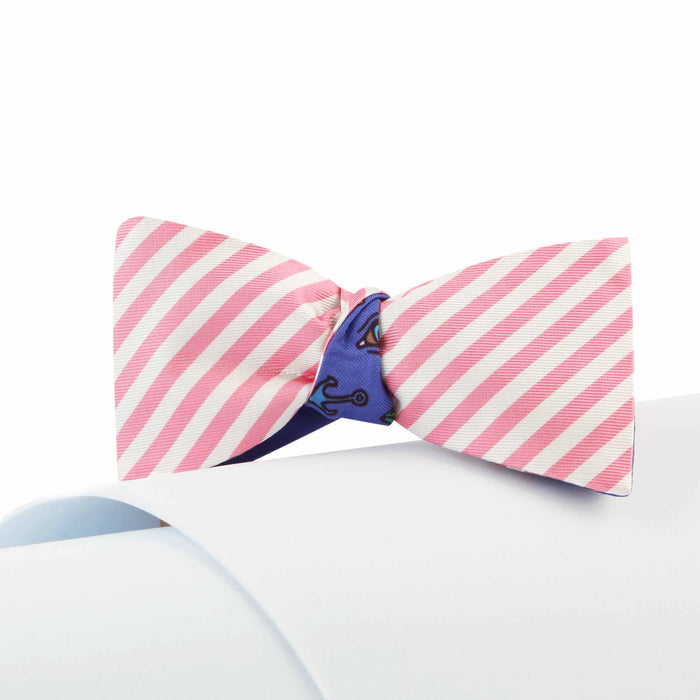 Papillon Rosa e Blu