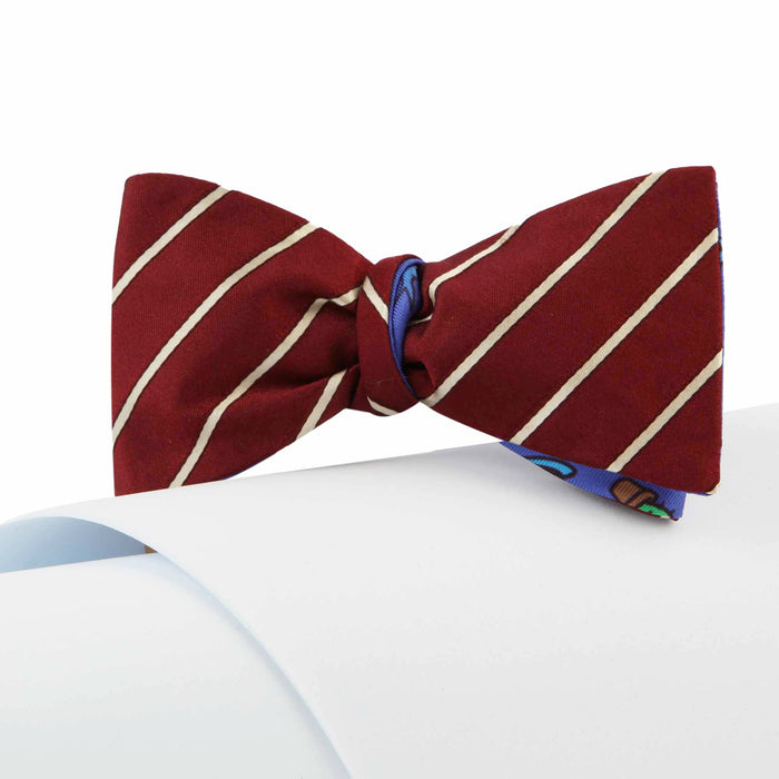 Papillon Bordeaux e Blu