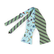 Papillon Verde e Celeste
