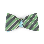 Papillon Verde e Celeste