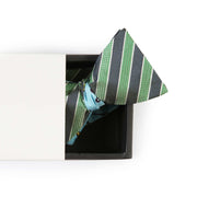 Papillon Verde e Celeste