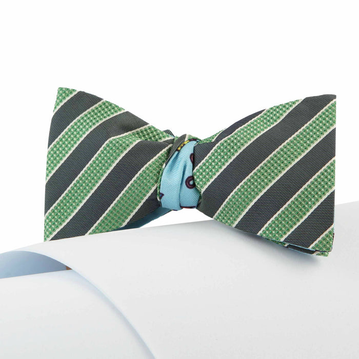 Papillon Verde e Celeste
