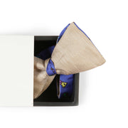 Papillon Beige e Blu