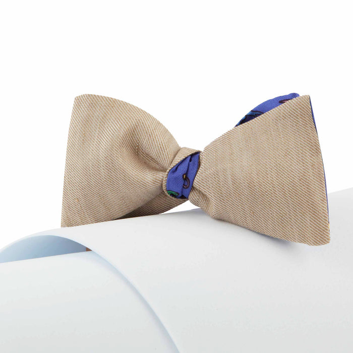 Papillon Beige e Blu