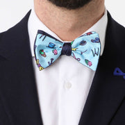 Papillon Blu e Celeste