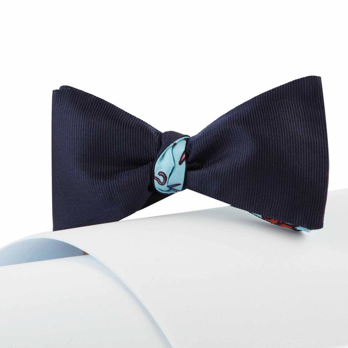 Papillon Blu e Celeste