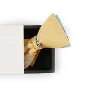 Papillon Giallo e Celeste