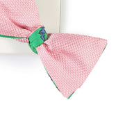 Papillon Rosa e Verde