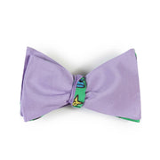 Papillon Lilla e Verde