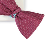 Papillon Viola e Celeste