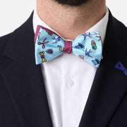 Papillon Viola e Celeste