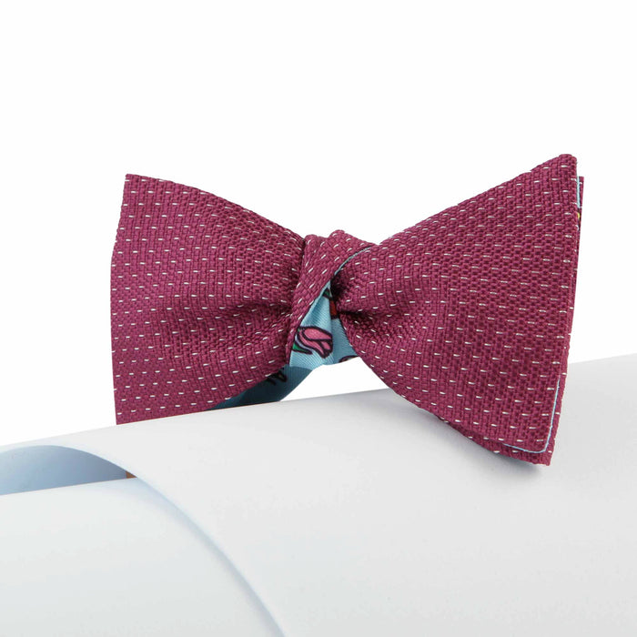 Papillon Viola e Celeste