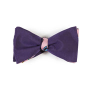 Papillon Viola e Rosa