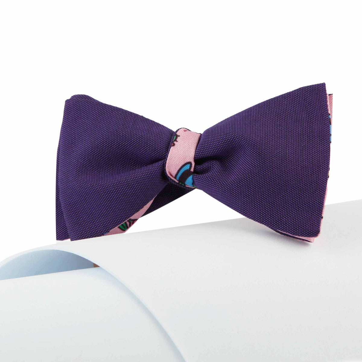 Papillon Viola e Rosa